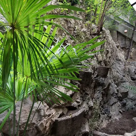 Lo Specchio Sul - The House Of Travelers 公寓 *